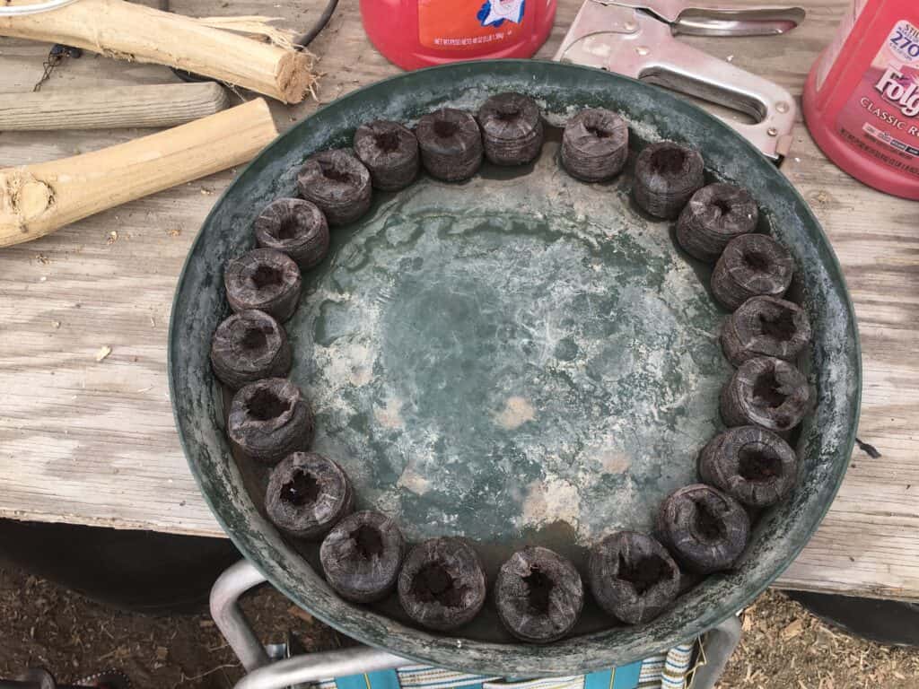 Jiffy Pot Germination