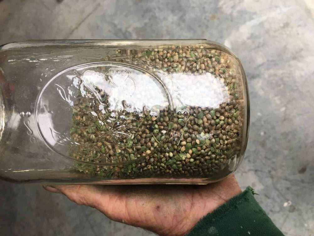 Jar of wholesale seed