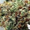 D'Qar Cannabis Bud