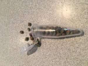 Order Of Free Cannabis Seeds