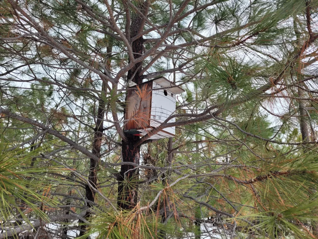 Birdhouse Permaculture in Action