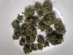 Frosty Buds