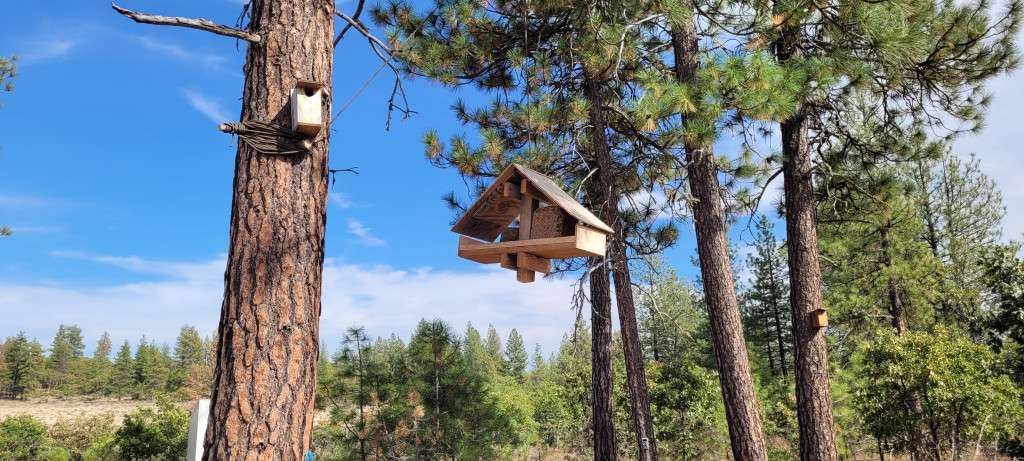 My New Out-House