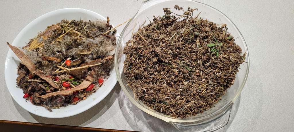 Collected Seeds Planting Your Food-Forest Inexpensively