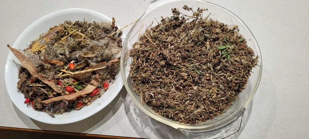 Collected Seeds Planting Your Food-Forest Inexpensively