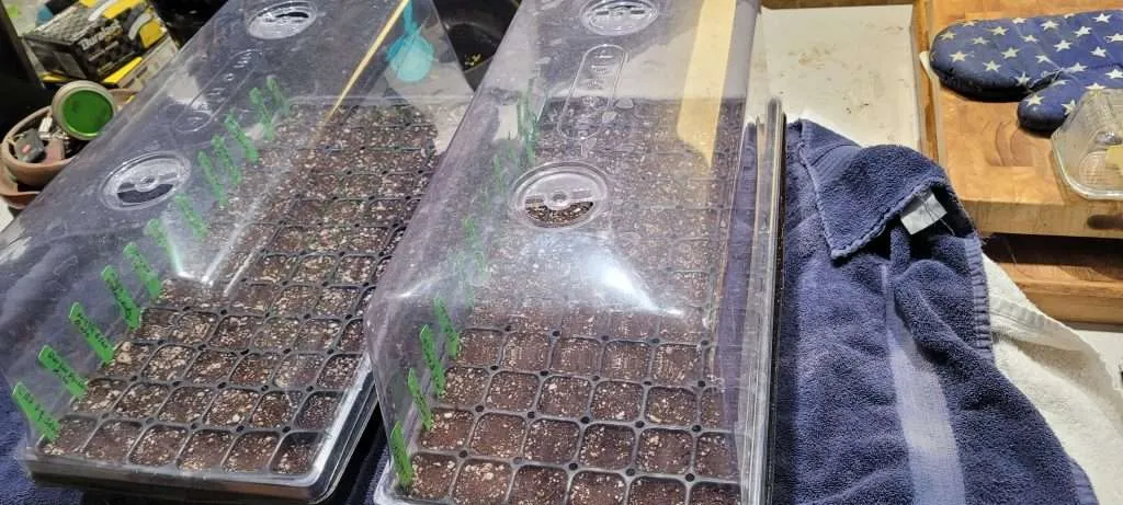 Trays with humidity domes