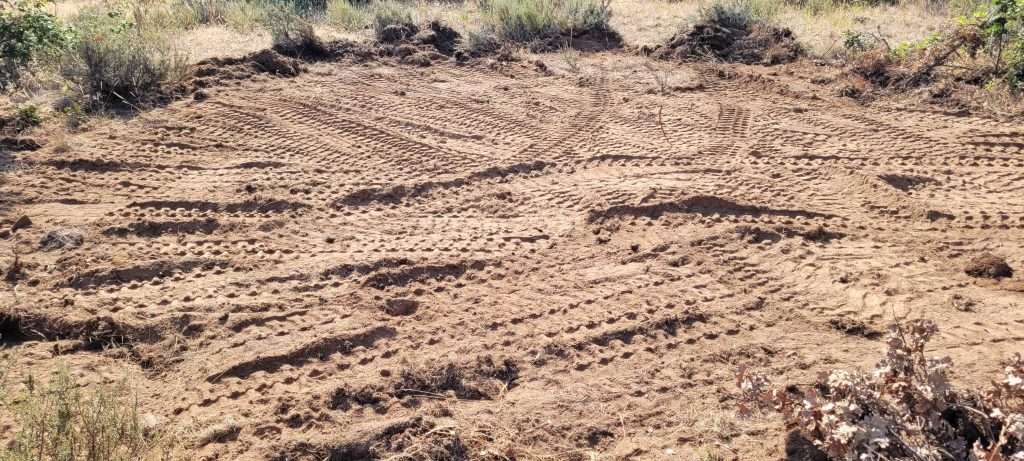 how to prep for a food plot