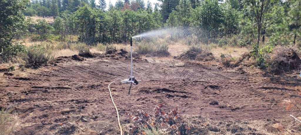 food plot watered how to prep for a food plot
