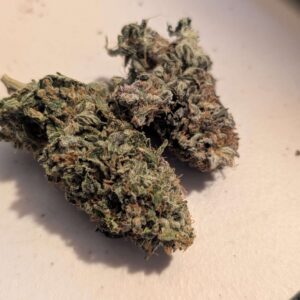 Wicked White Widow Buds