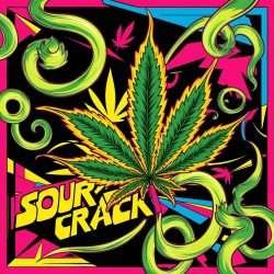 Sour Crack