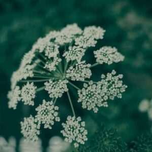 pexels-photo-14128869