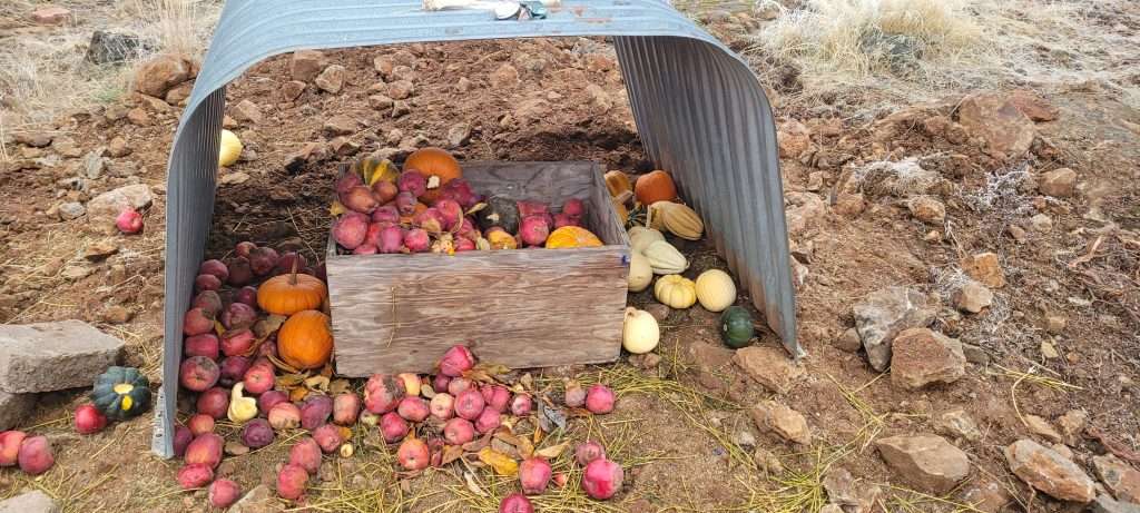 Food For The Animals