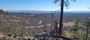 Looking for a site to prep for a cannabis grow