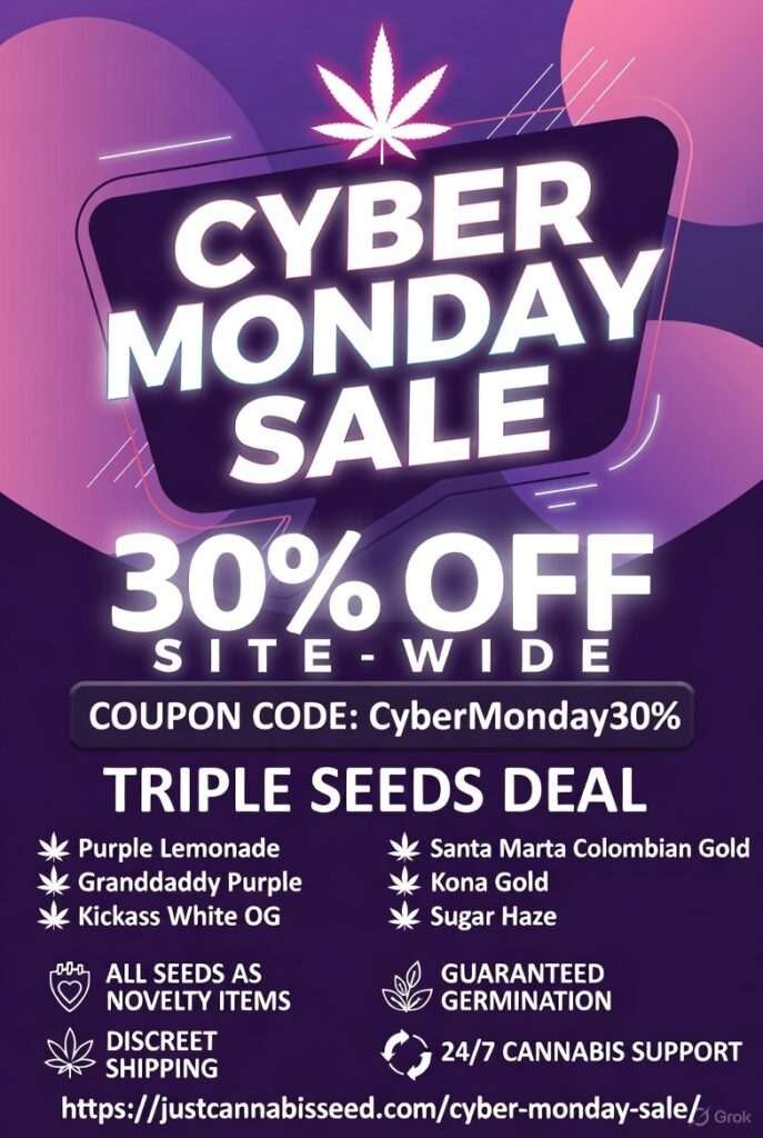 cyber monday sale