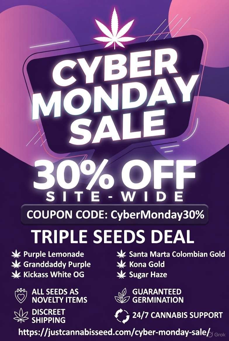 cyber monday sale