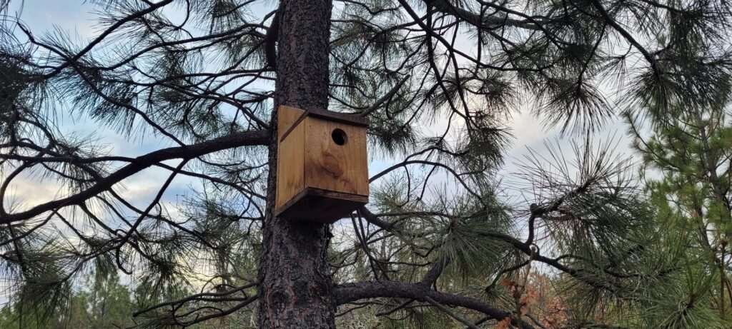 bird house