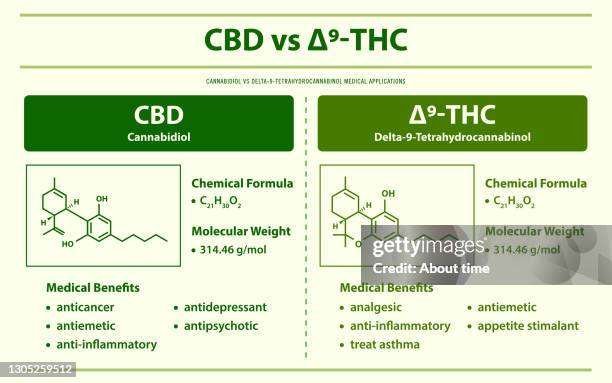 THC vs CBD infographic comparison