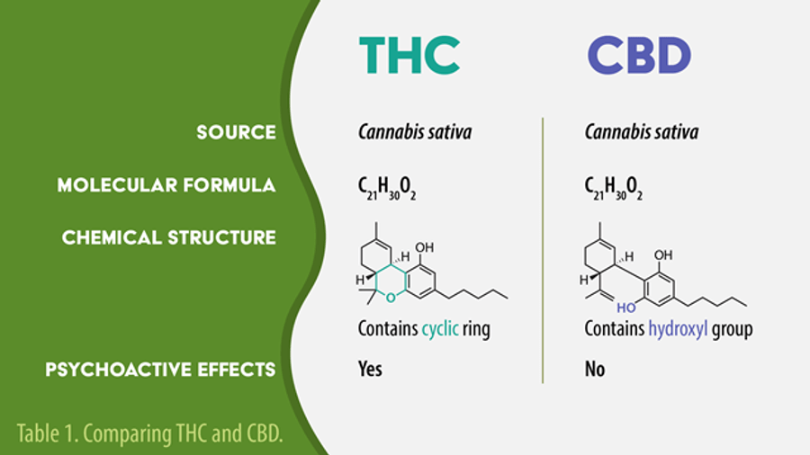 Molecular structures of THC and CBD side by side