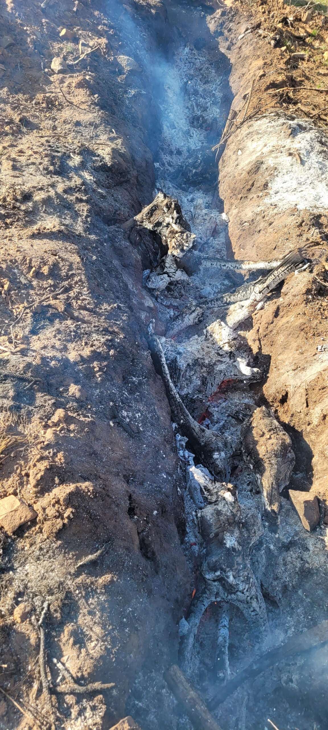 making bio-char for a dry-land hugelkultur