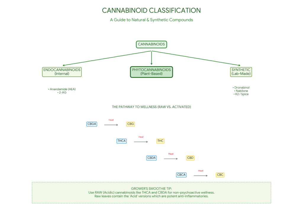 cannabinoids for raw health and wellness