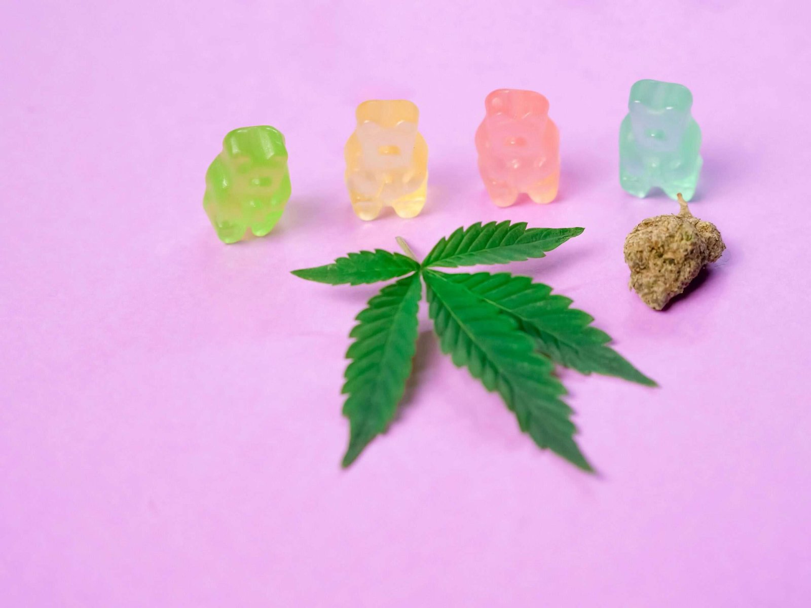cannabis gummies