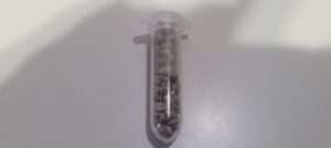 New cannabis seed counting contest on JCS.