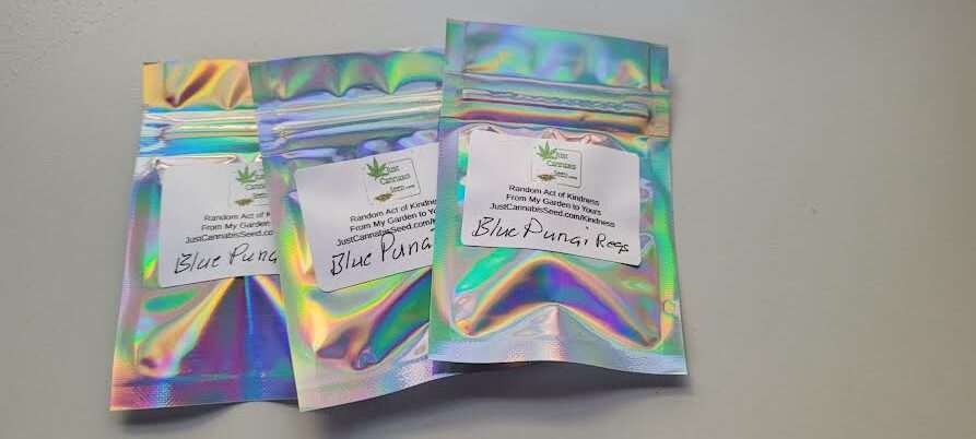 Get Free Seeds as a Random Act of Kindness From Jerry