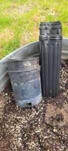 This container was made for trees, and will give my cannabis plants plenty of room for a large root syatem.