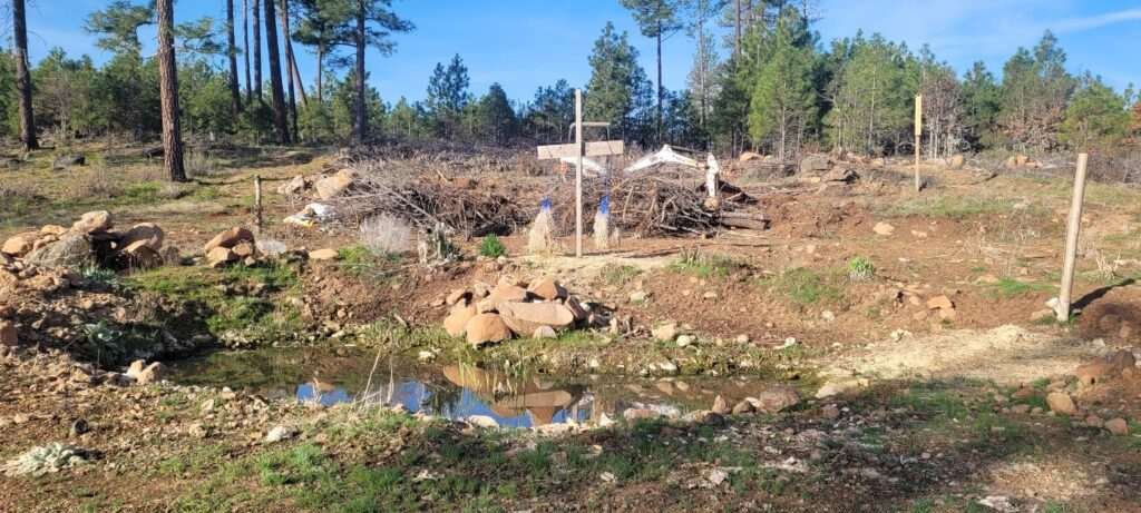 Building a hugelkultur with super soil.