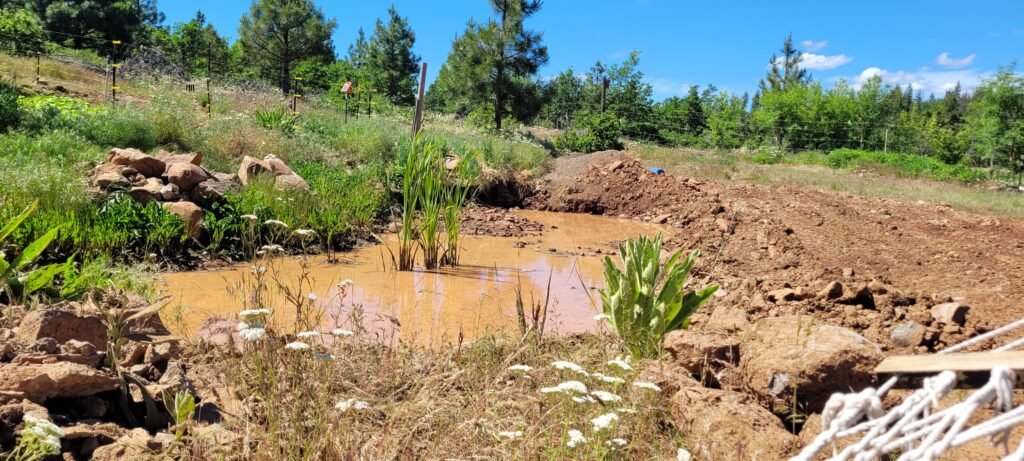 Enlarging the pond.